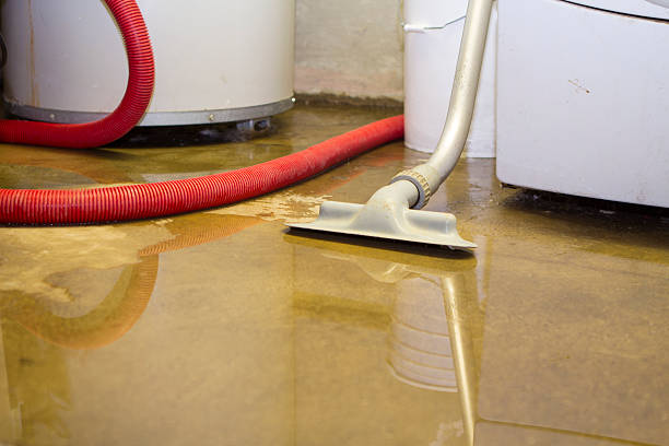 Trusted Water Damage Restoration in South Boston, VA | Fast, Reliable, and Ready to Assist You